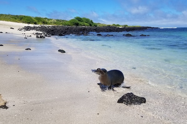 "Take a walk on the wild side."