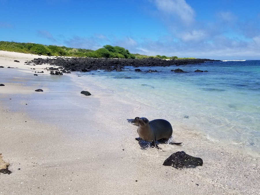 "Take a walk on the wild side."