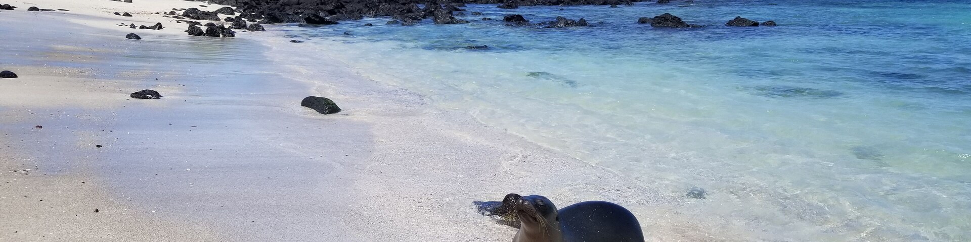 "Take a walk on the wild side."