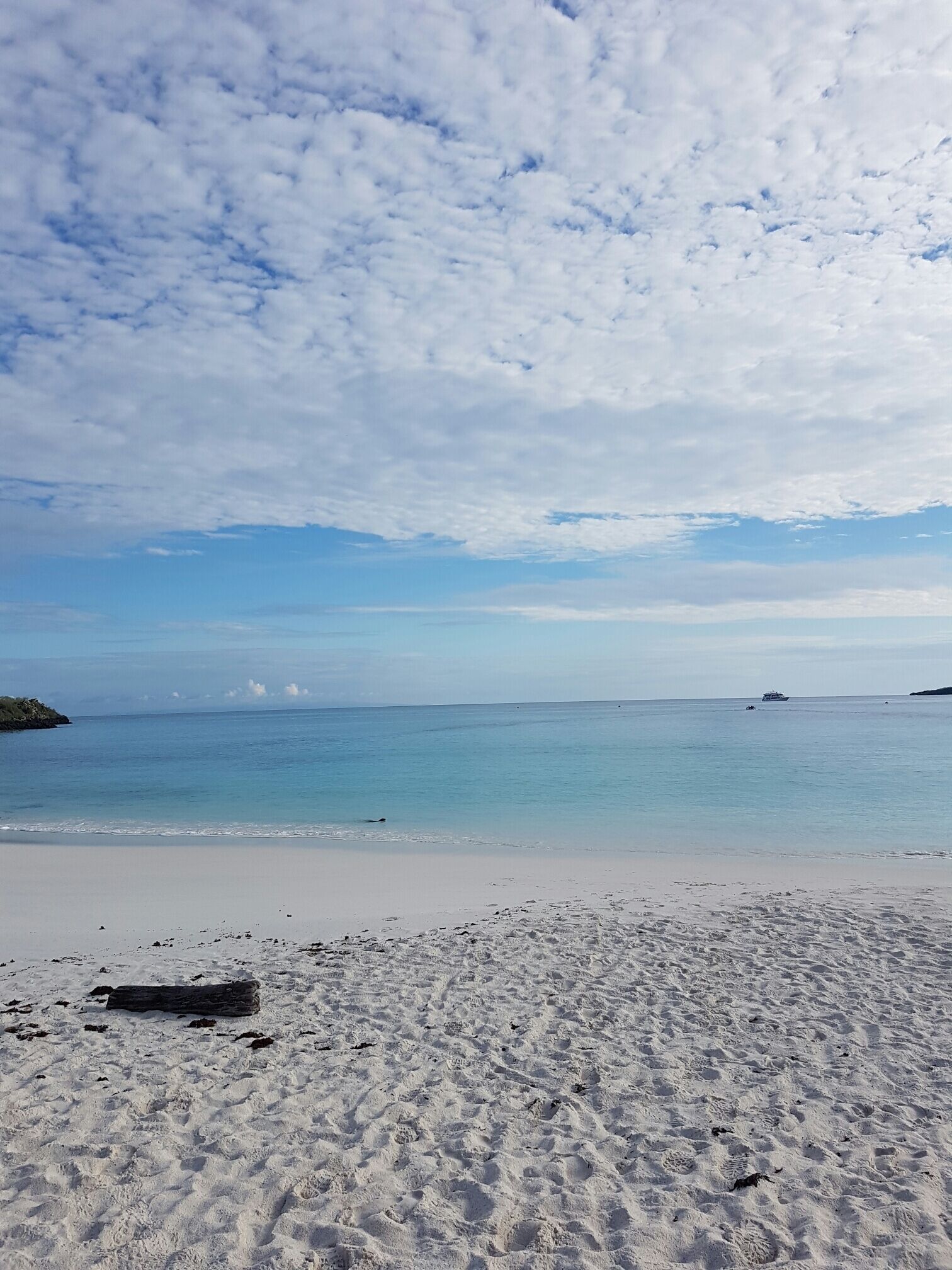 Heaven is a place on earth #galapagosislands #galapagos #ecuador #bucketlist #lifeatexpedia #blue