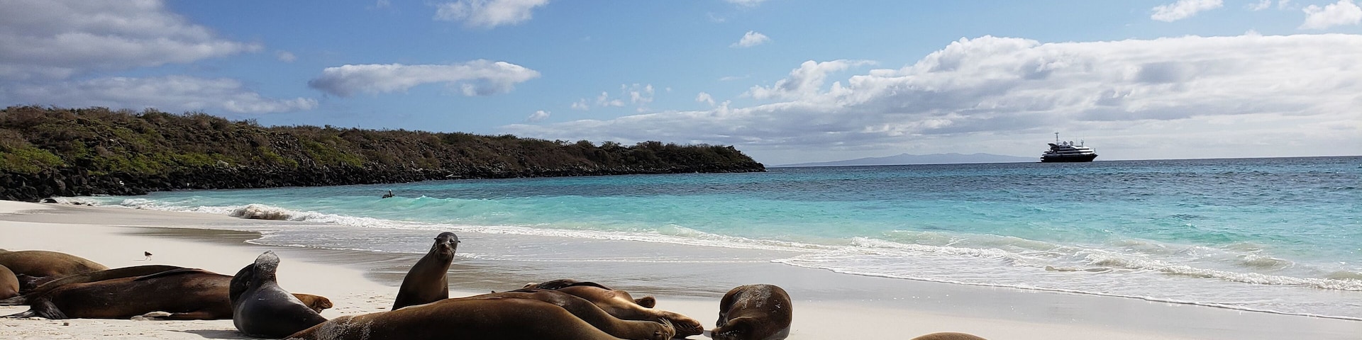 Sea lions soaking in some rays on the island of espanola in the Galapagos. Unfortunately no mai tai's on this beach. #LifeAtExpedia #nature