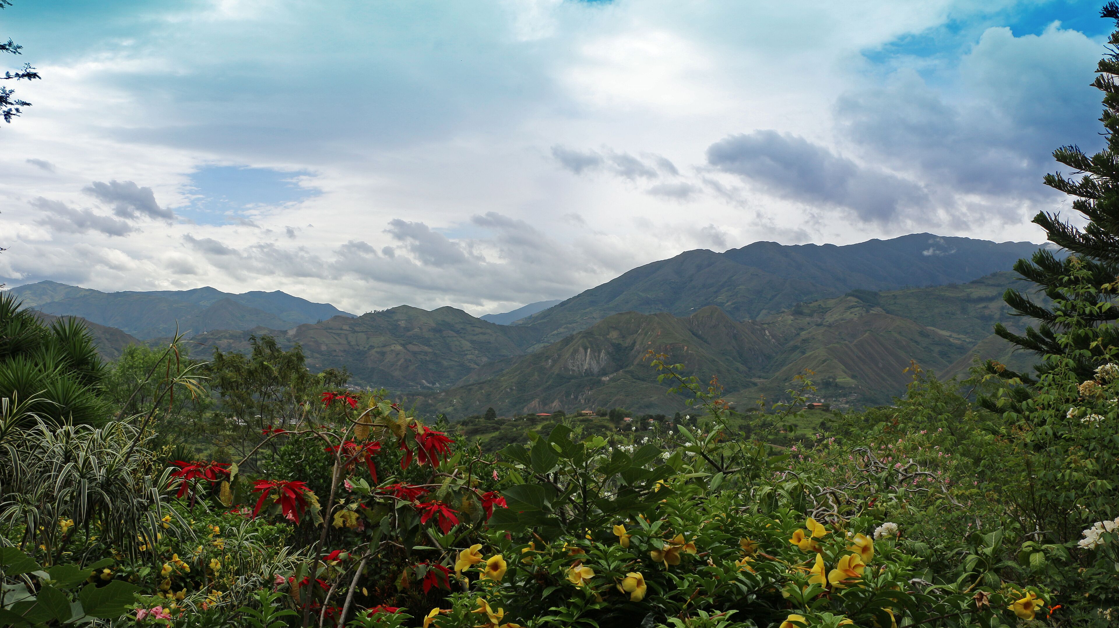 A mountainous landscape with lush greenery and colorful flowers in the foreground.