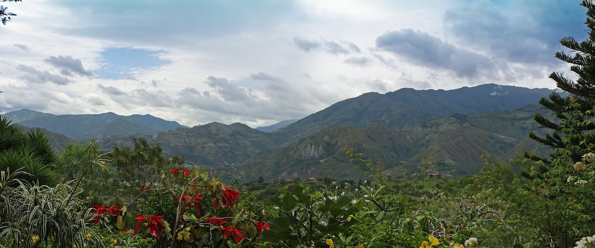 A mountainous landscape with lush greenery and colorful flowers in the foreground.