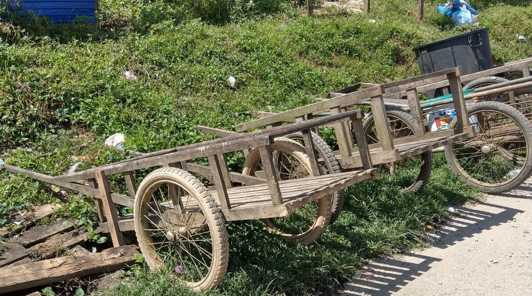 Waiting for the market to open