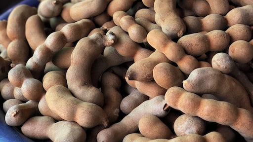 Tamarind