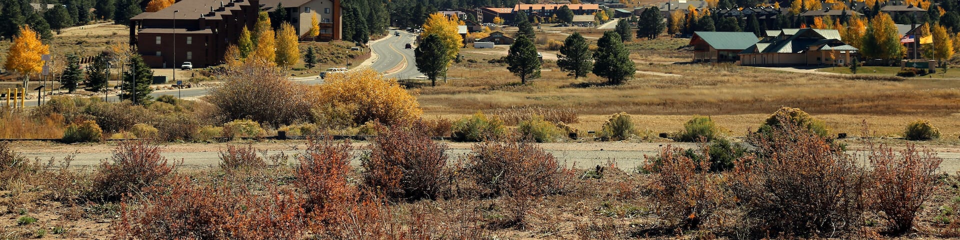 A mountainous landscape with autumn-colored trees, a road, and buildings in the valley.