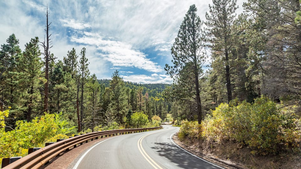 A winding road through a forest with tall pine trees and a clear sky.
