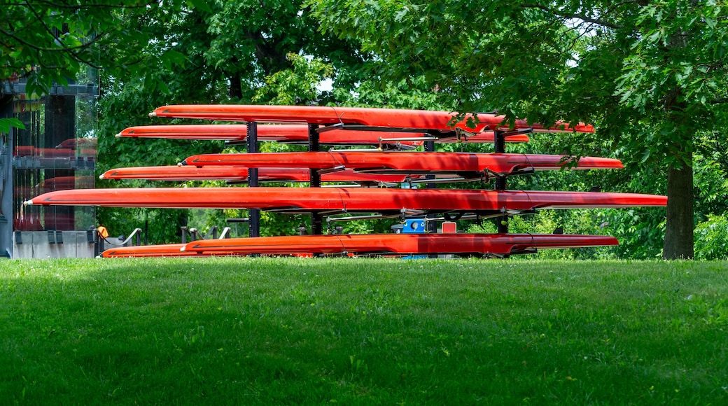 Stack of red kayaks arranged on an outdoor rack on the Charles riverbank, Watertown, Massachusetts, USA