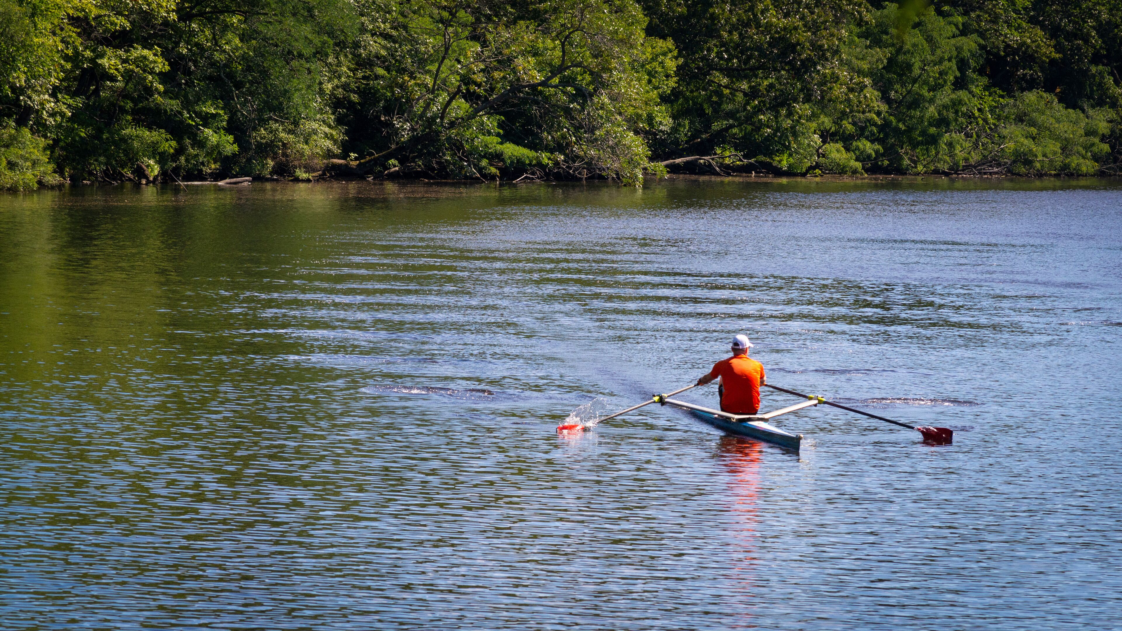 A calm lake with a rowboat and a person rowing, surrounded by dense green trees.