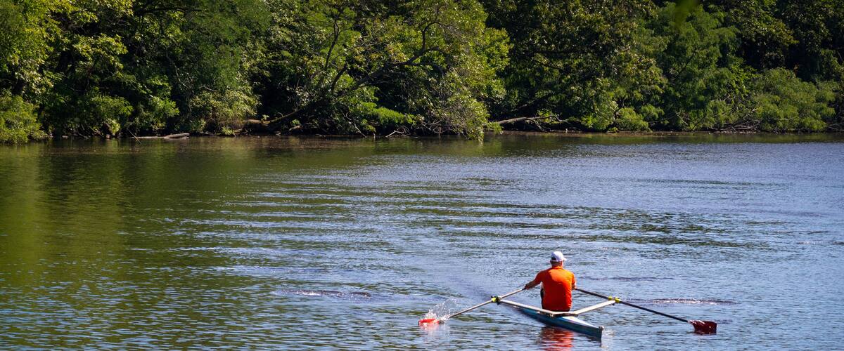 A calm lake with a rowboat and a person rowing, surrounded by dense green trees.