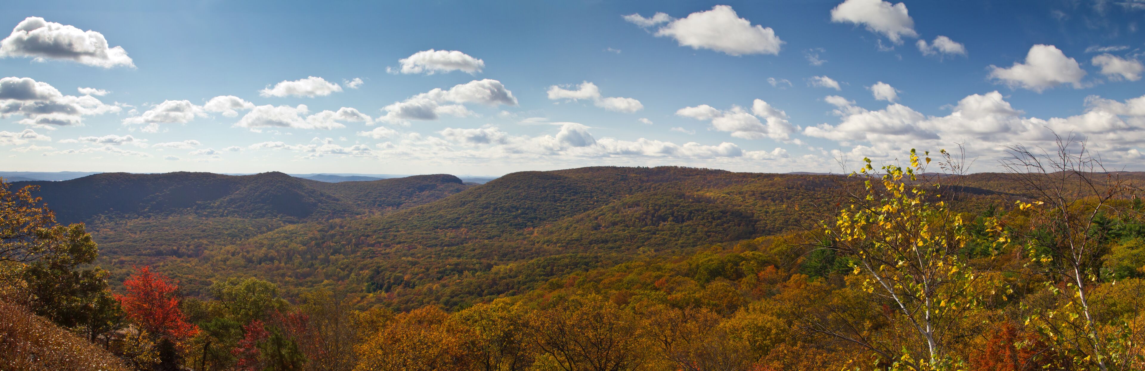 Panoramic View of New York Mountains in Fall