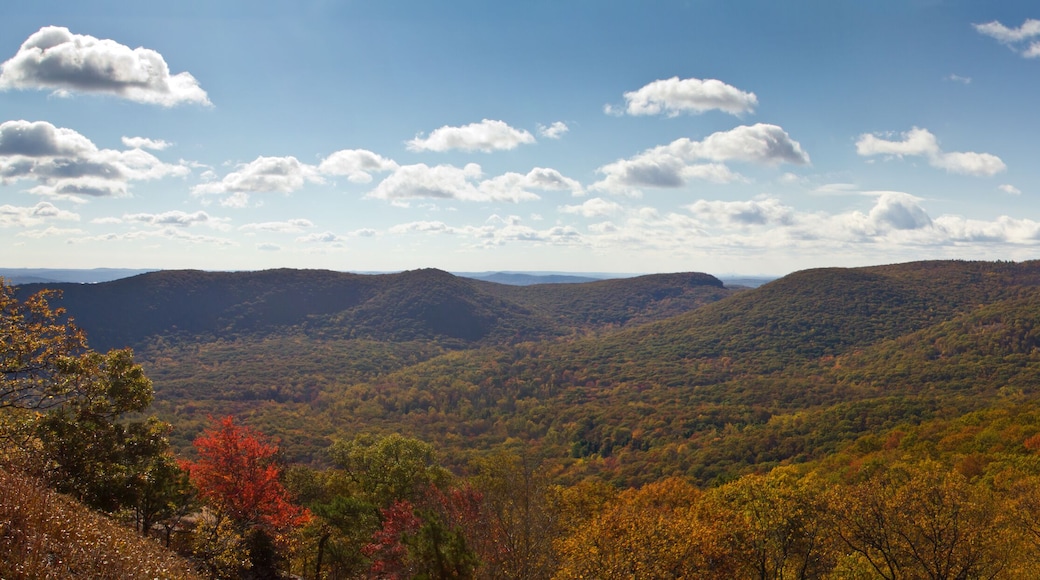 ์์ ค๋ฆฌ์นด