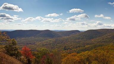 Panoramic View of New York Mountains in Fall