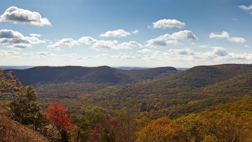 Panoramic View of New York Mountains in Fall