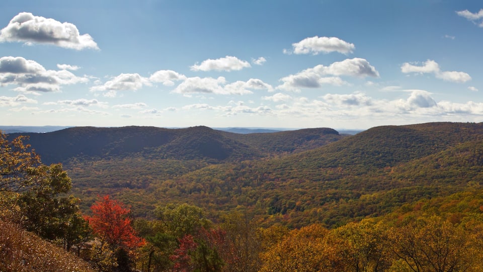 A mountainous landscape with autumn foliage and scattered clouds.