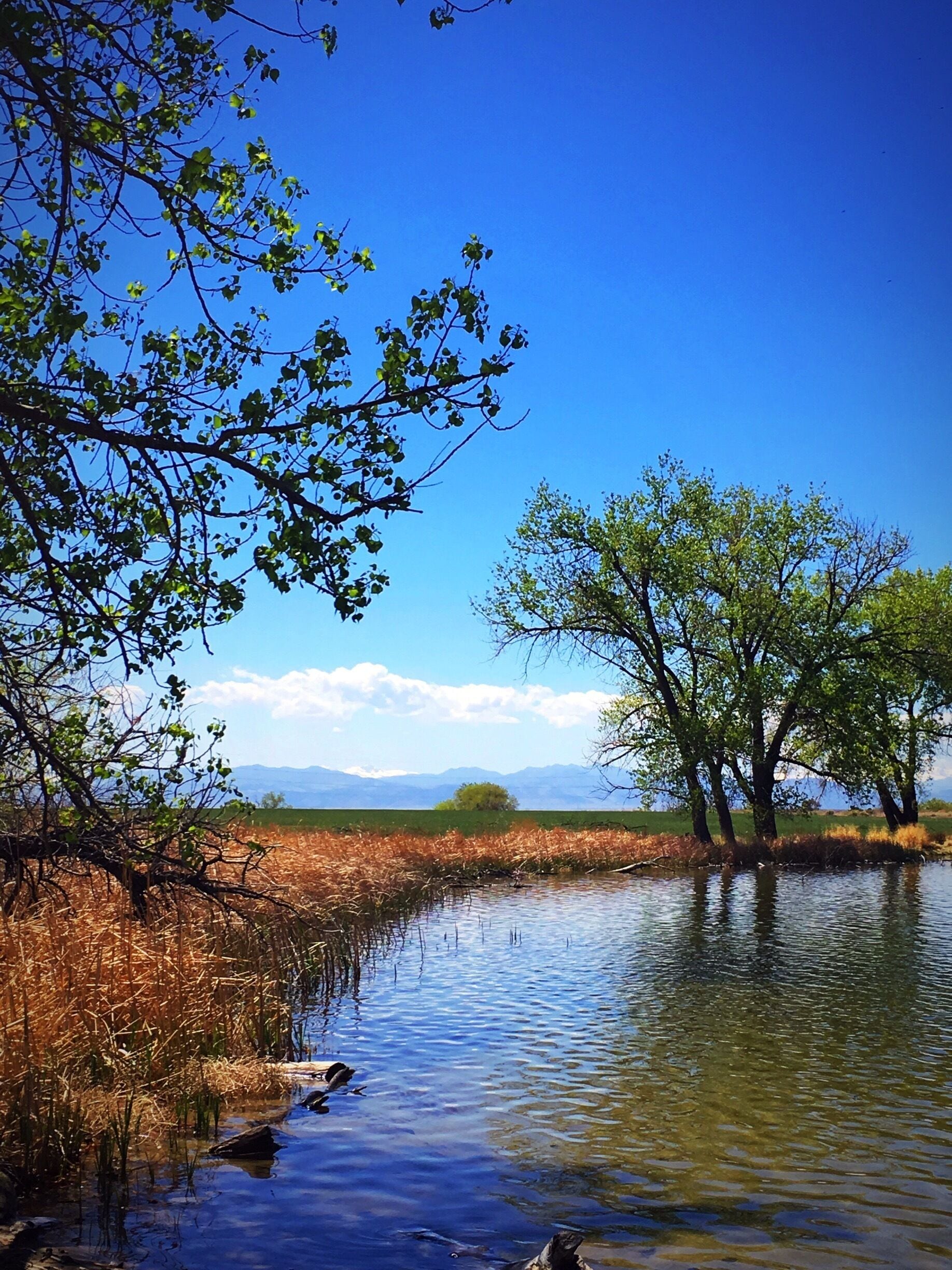 Enjoying a gorgeous spring day with lake and Rocky Mountain views just minutes from Denver.