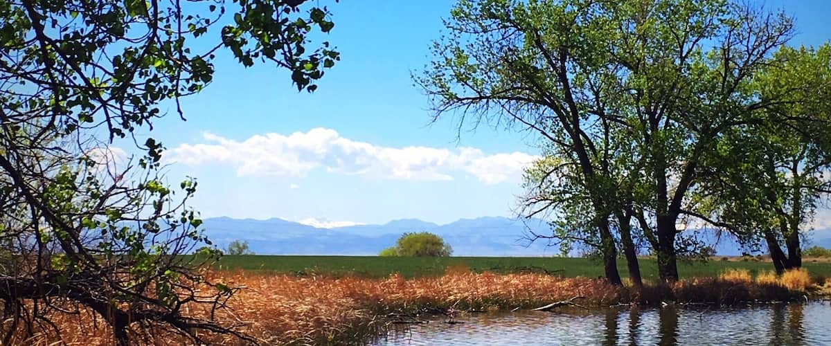 A calm river with trees on the banks, a clear blue sky, and distant mountains.