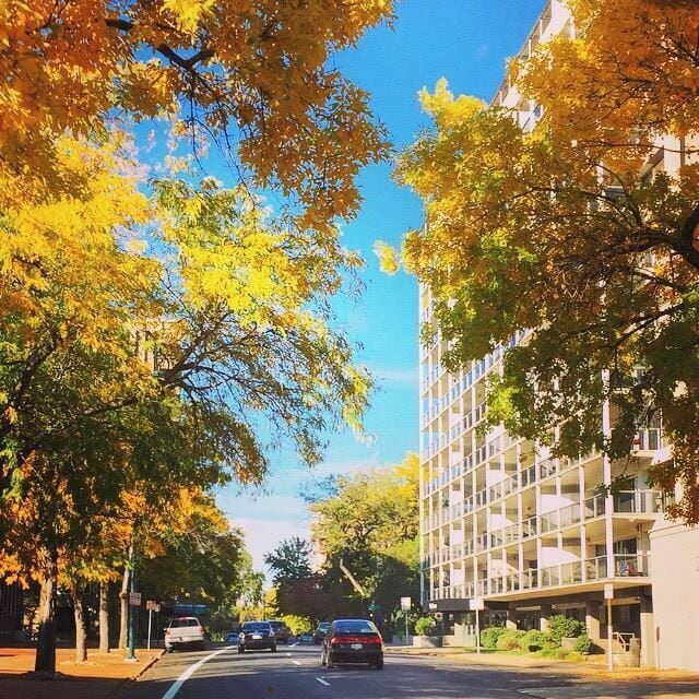 Driving through #colorful #tree lined #streets is why I love #autumn #fall in #denver #colorado #nature