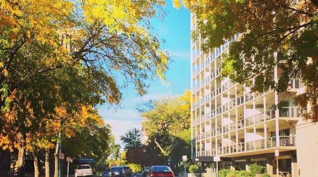 Driving through #colorful #tree lined #streets is why I love #autumn #fall in #denver #colorado #nature