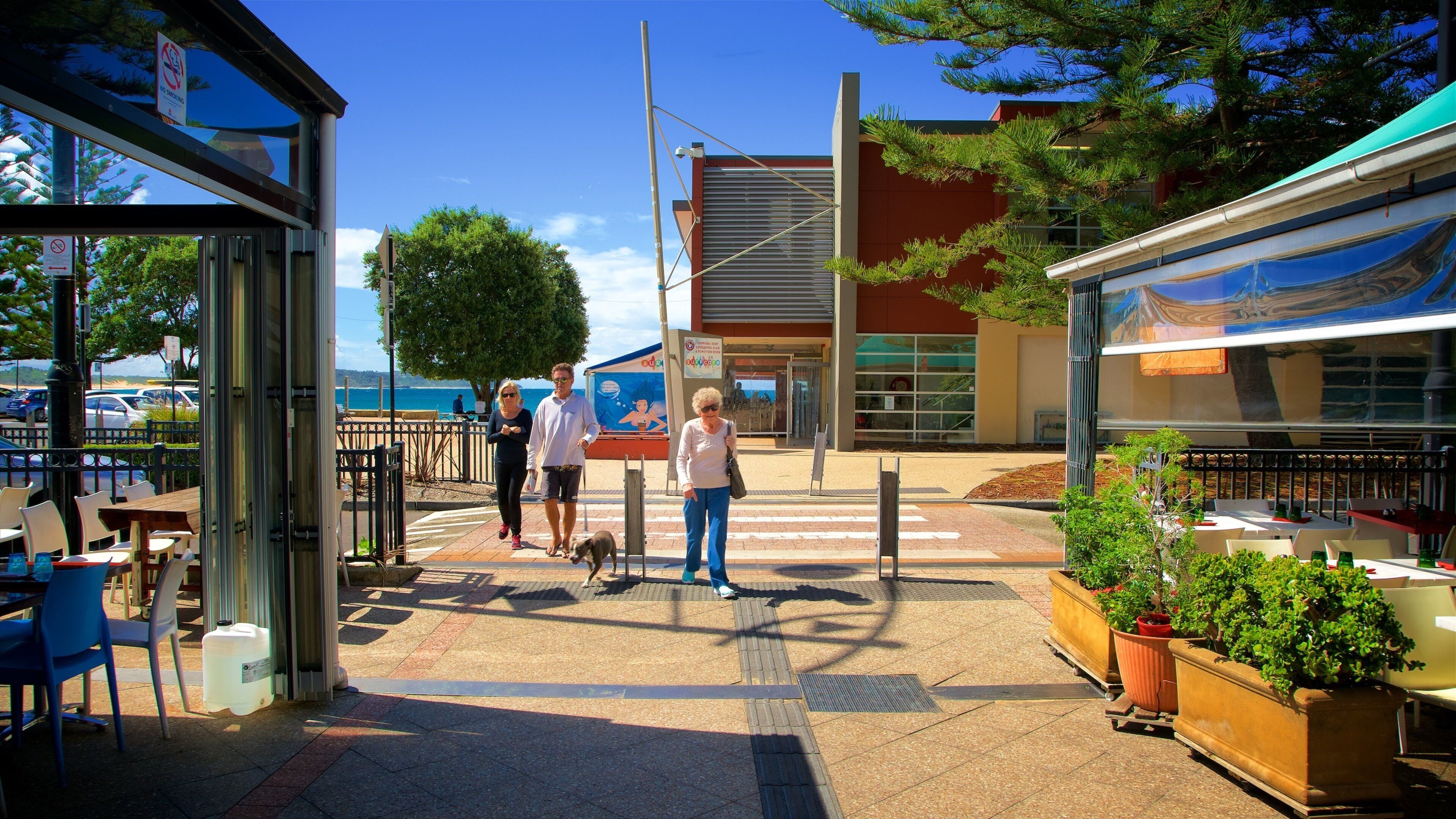 Terrigal que incluye escenas cotidianas y también un grupo pequeño de personas