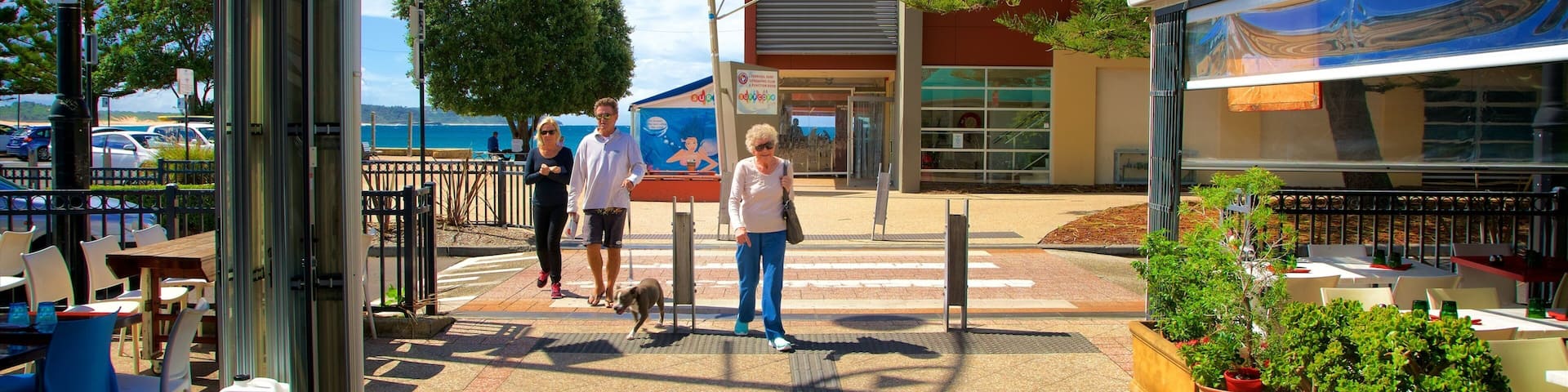 Terrigal which includes street scenes as well as a small group of people