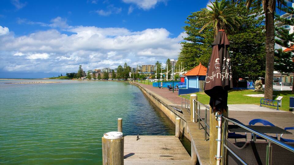 A waterfront promenade with a wooden dock, palm trees, and a clear blue sky.