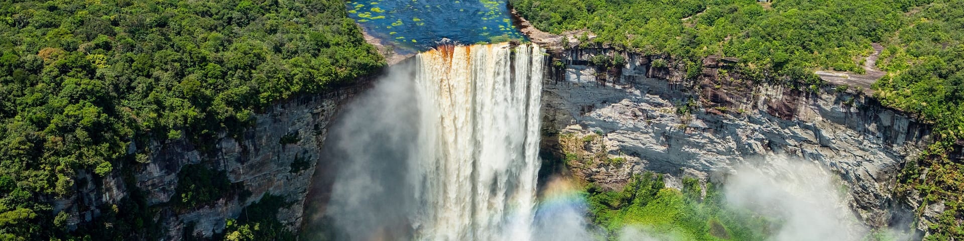 Jungle Region of Kaieteur Falls Kaieteur National Park Guyana