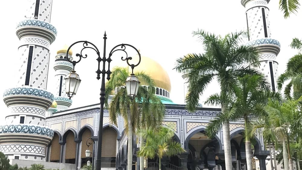 Une mosquée dotée de plusieurs minarets et de coupoles, entourée de palmiers et bordée d’une promenade dallée.