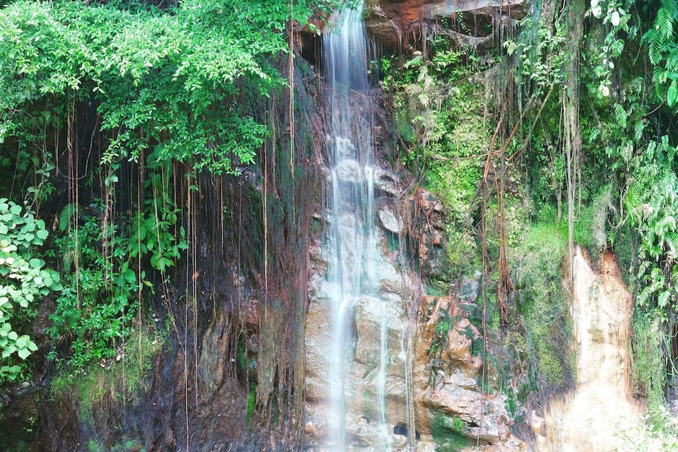 A waterfall cascading down a rocky cliff surrounded by dense green foliage.