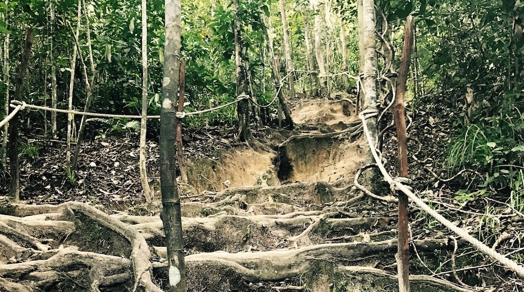 So many trails - lots of monkeys to entertain us as well. Looking forward to doing it again. $1 for a fresh coconut as we left.