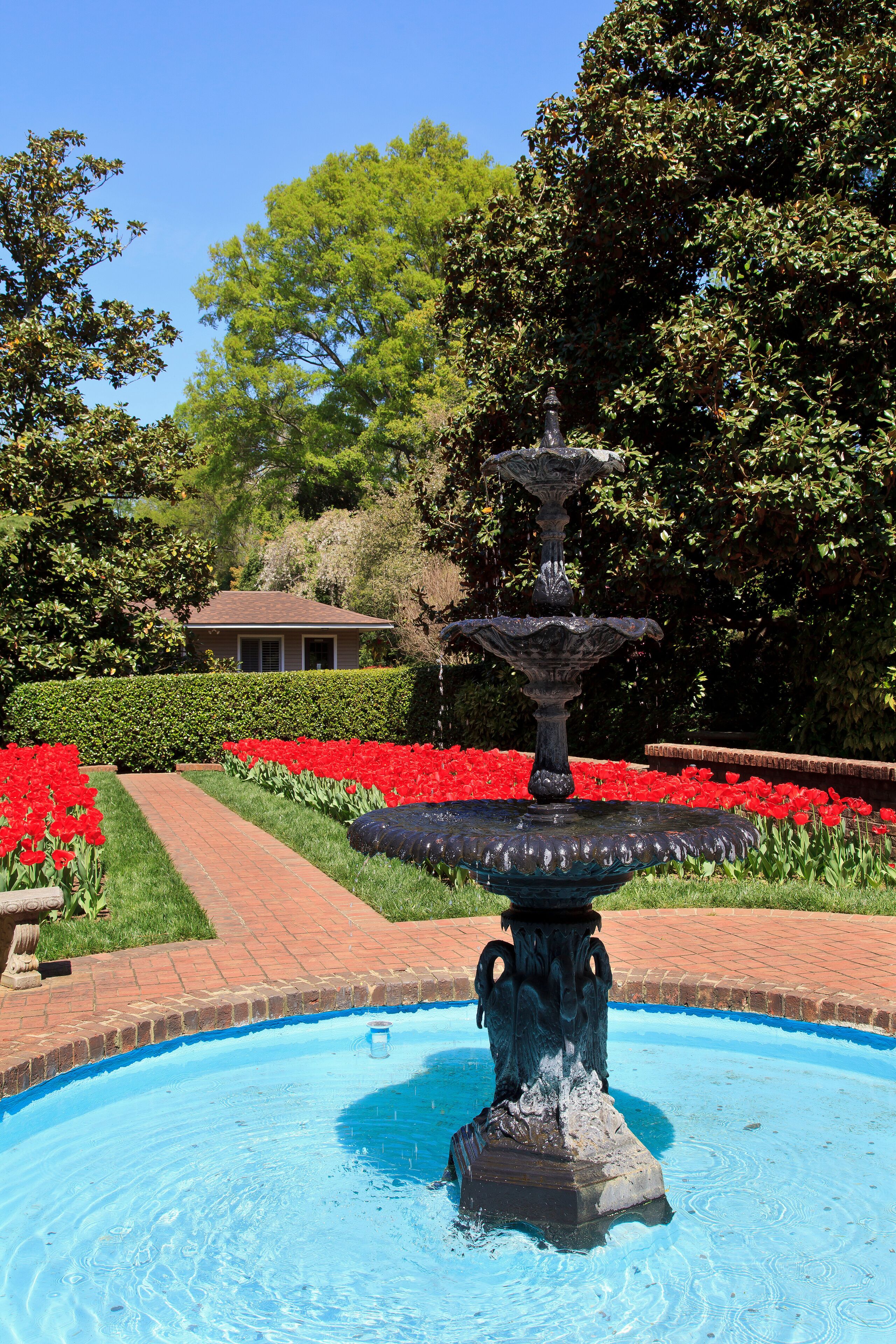 Concord Memorial Gardens Water Fountain and Red Tulips
