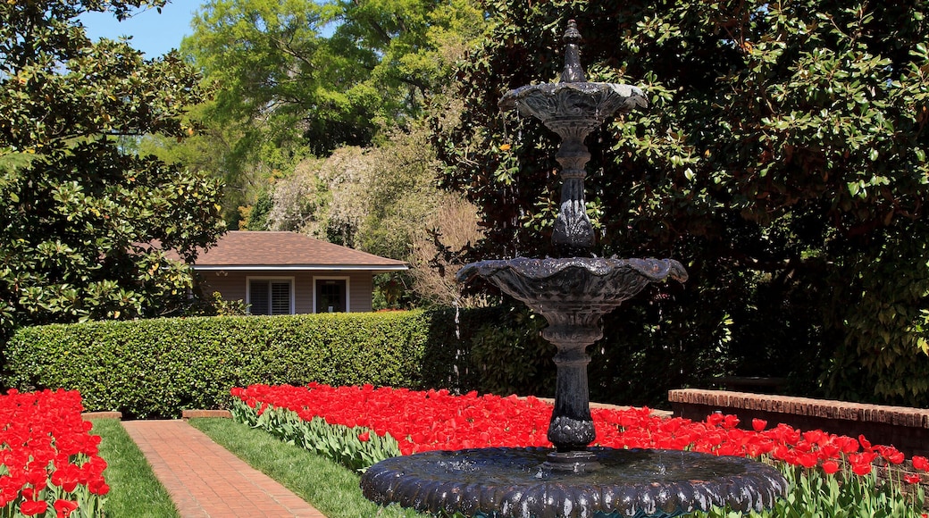 Concord Memorial Gardens Water Fountain and Red Tulips
