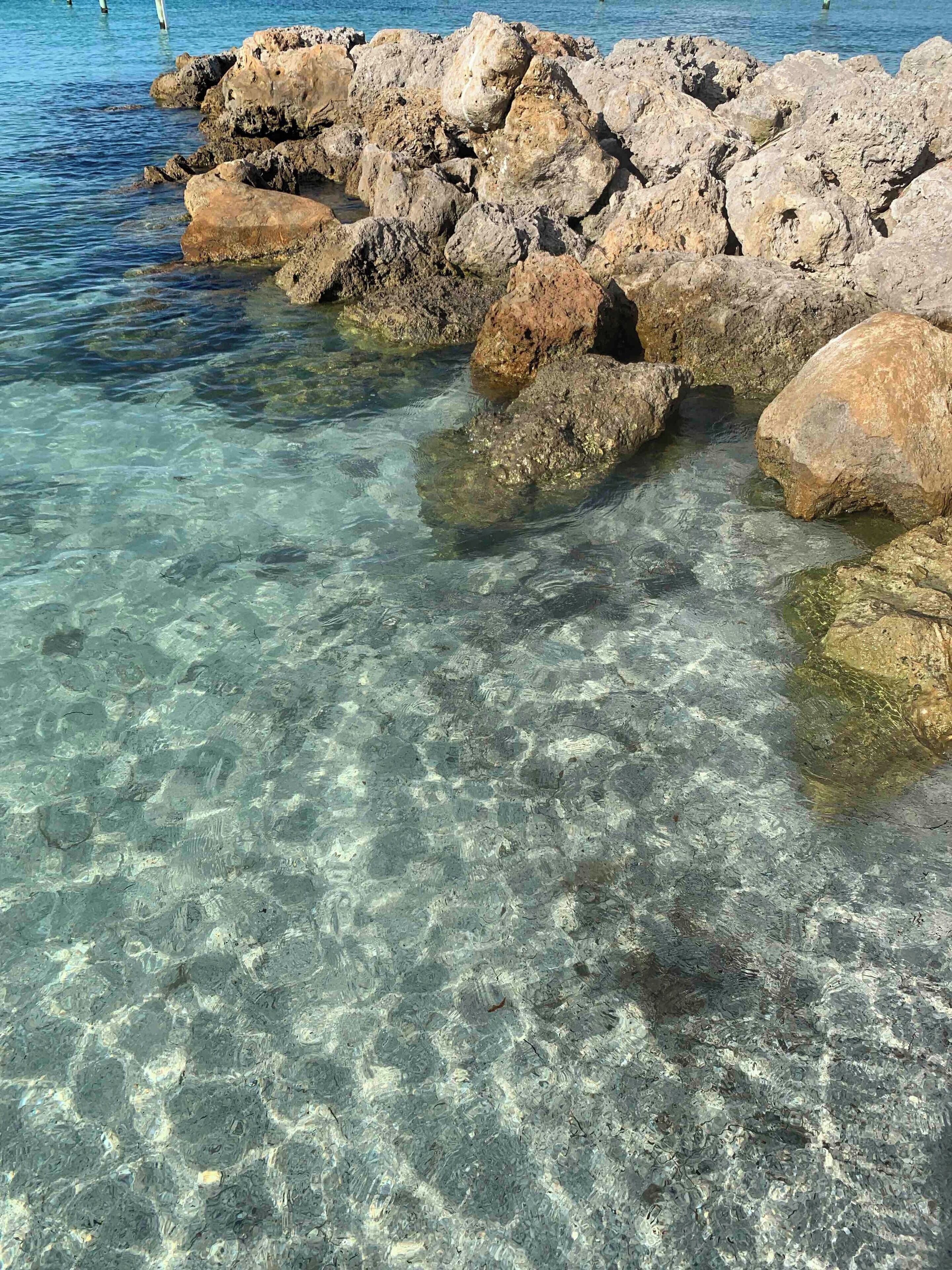 Anna Maria Island. Great place to swim, paddle board and fish. 
#waterlust #Nature