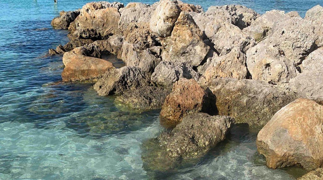 Anna Maria Island. Great place to swim, paddle board and fish.
#waterlust #Nature