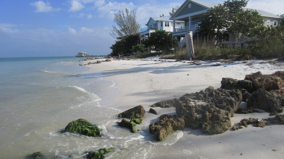 A beach with white sand, green seaweed, and a house with a porch.
