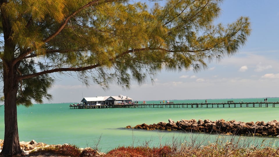 A coastal scene with a tree, clear turquoise water, a pier, and a building.