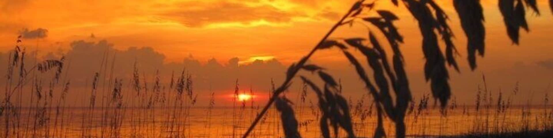 Um pôr do sol sobre uma praia, com silhuetas de grama e juncos.
