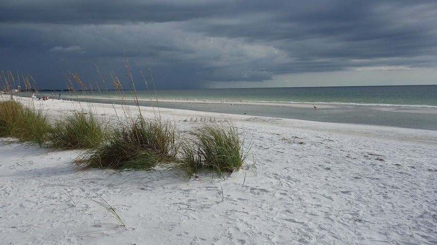 Anna Maria Beach is beautiful. It's one of several beaches on Anna Maria Island and doesn't have any facilities, so it's less visited.