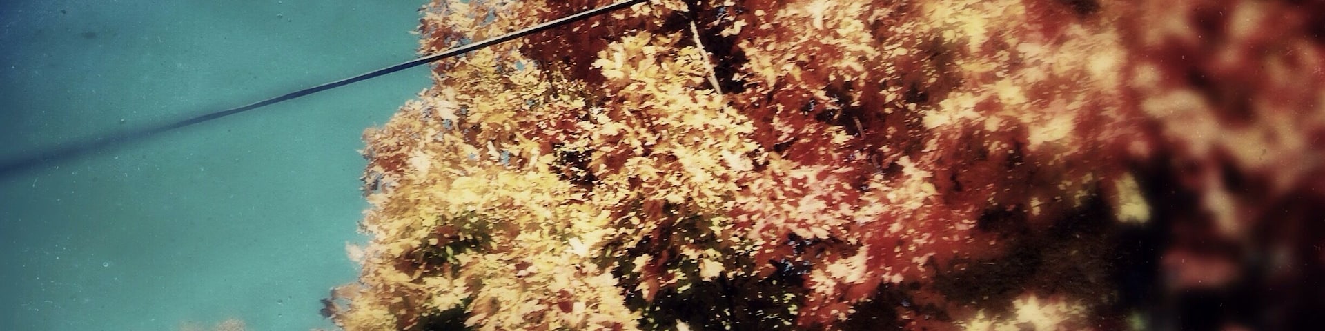 "I love the smell of decay in the morning..."
A beautiful October morning, driving through O'Fallon, IL