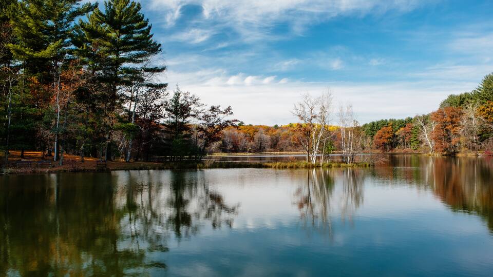 A calm lake surrounded by trees with autumn foliage, clear skies, and a reflection of the trees in the water.