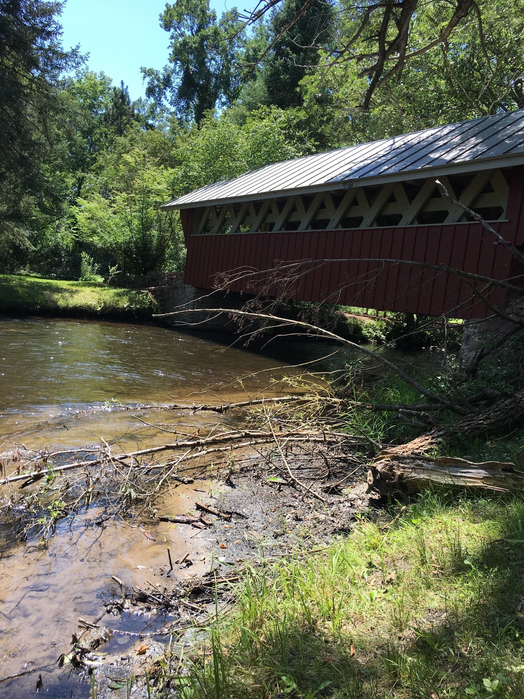 Great place for hammocking