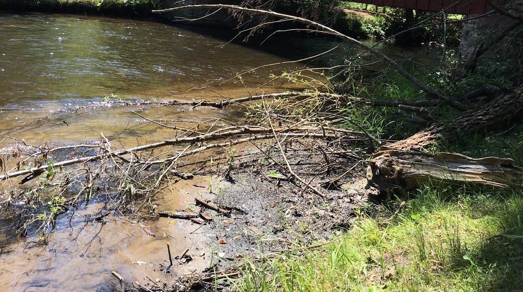 Great place for hammocking