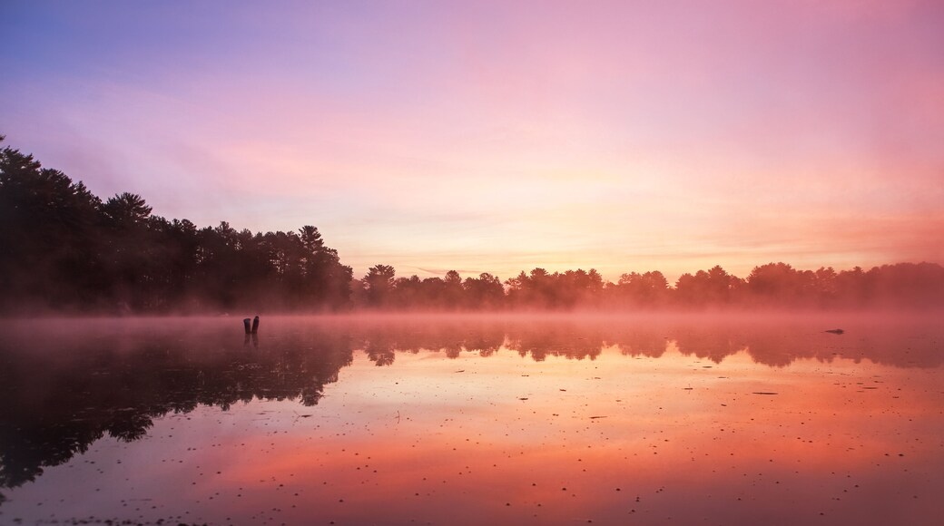 Lake with fog at dawn in Northern Wisconsin