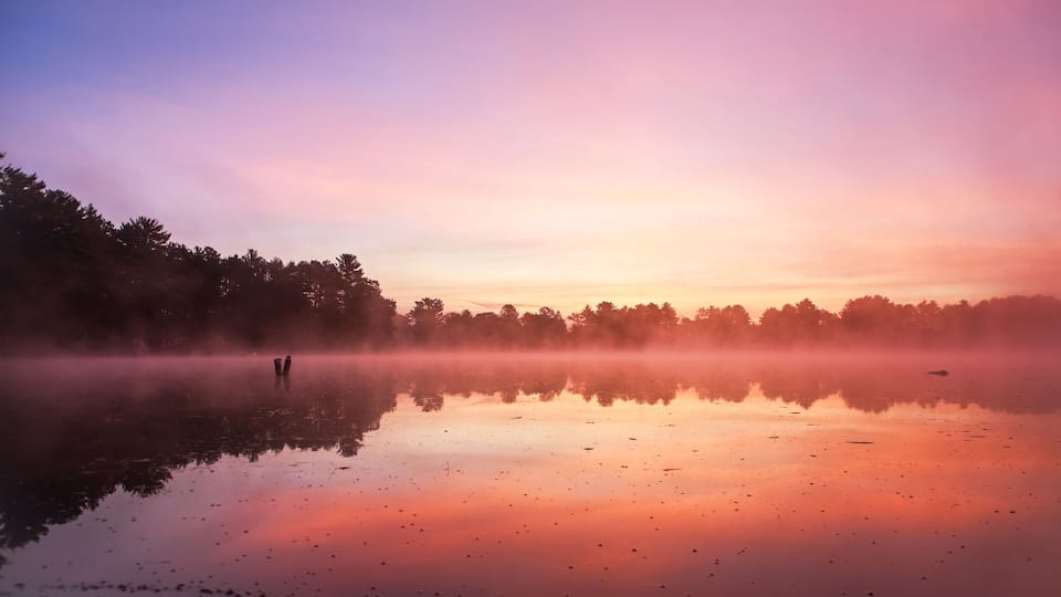 A calm lake at sunrise with mist, trees, and a person standing in the distance.
