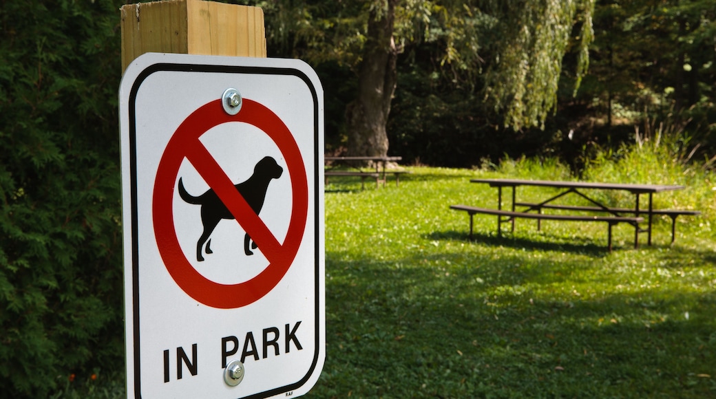 Señal de prohibido perros en un parque, con una mesa de picnic y árboles al fondo.