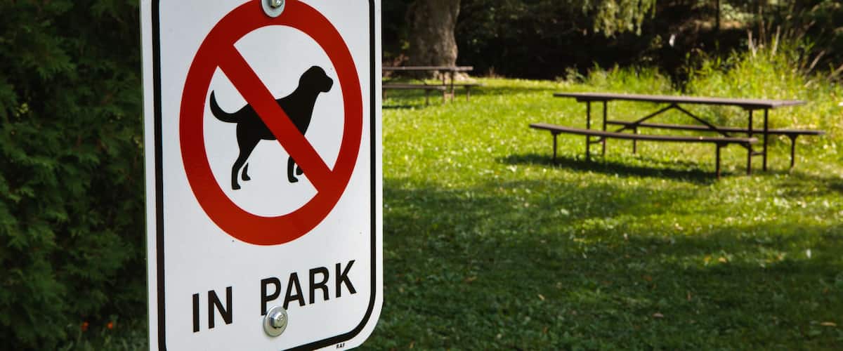 A no dogs allowed sign in a park with a picnic table and trees in the background.