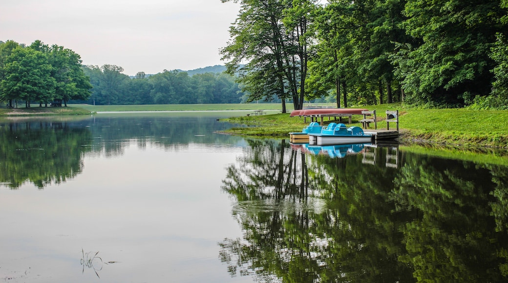 Summer Day At The Lake. Paddleboats and canoes line the shore of the lake at Scioto State Park in Chillicothe, Ohio