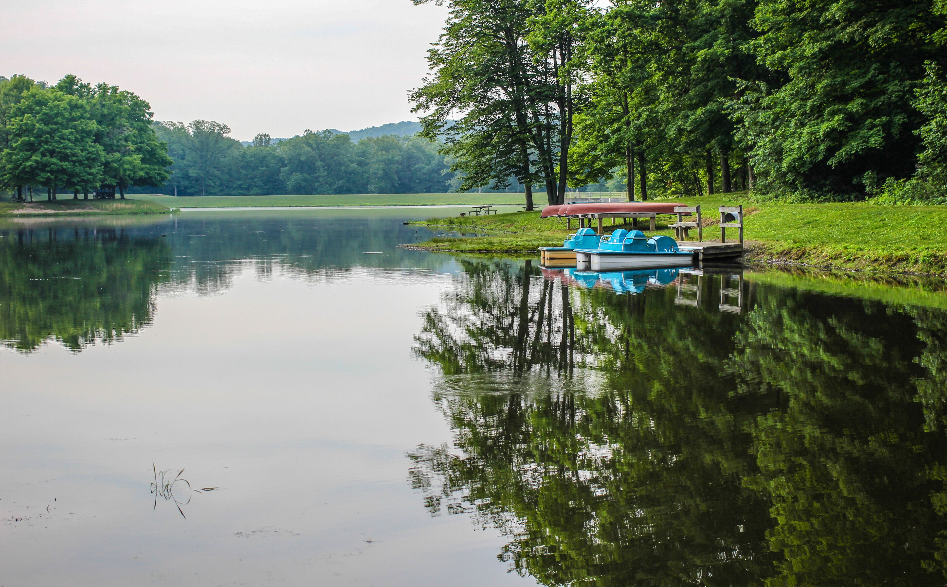 A calm lake with a dock and a boat, surrounded by lush greenery and trees.