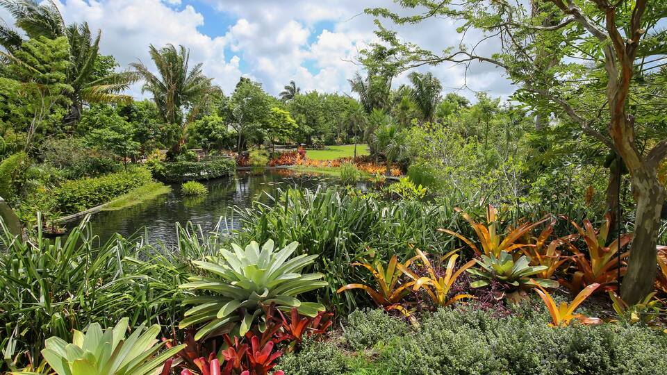 Naples Botanical Gardens, beautifully designed with curves, water elements, colors and vertical landscaping.