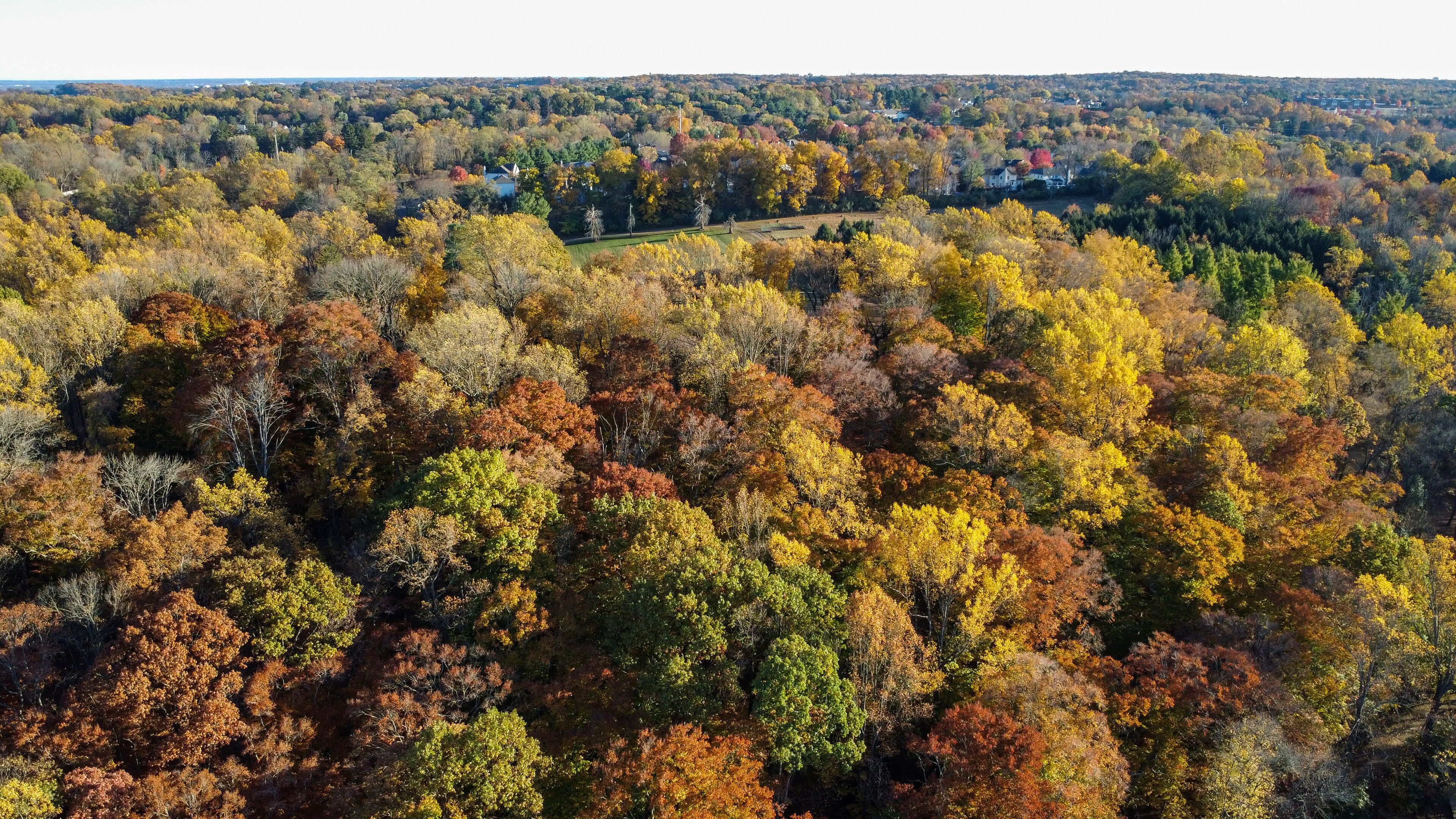 A forested landscape with autumn foliage, a winding road, and scattered buildings.